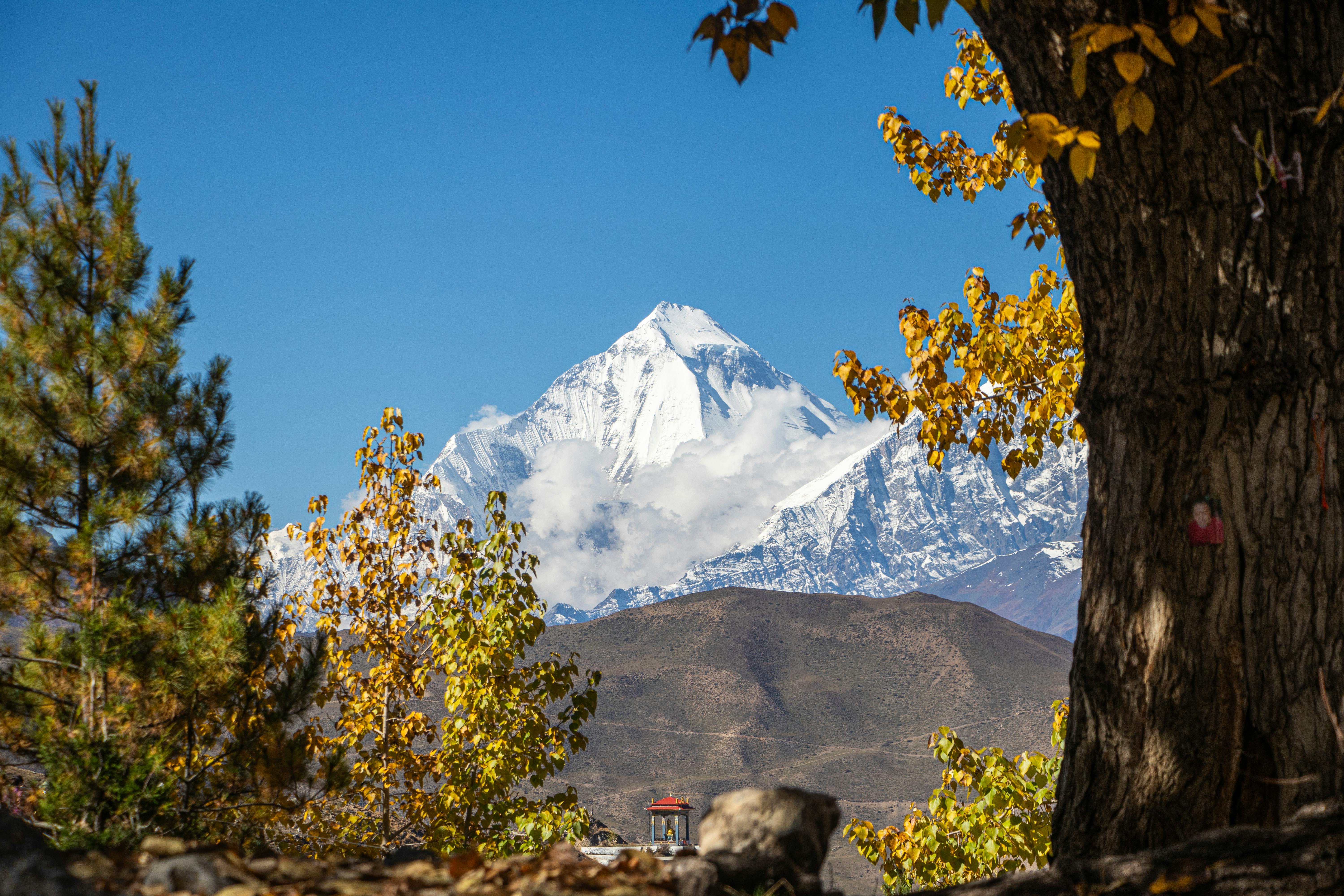 Around Dhaulagiri Trek (5,360m French Pass & 5,230m Thapa Pass)