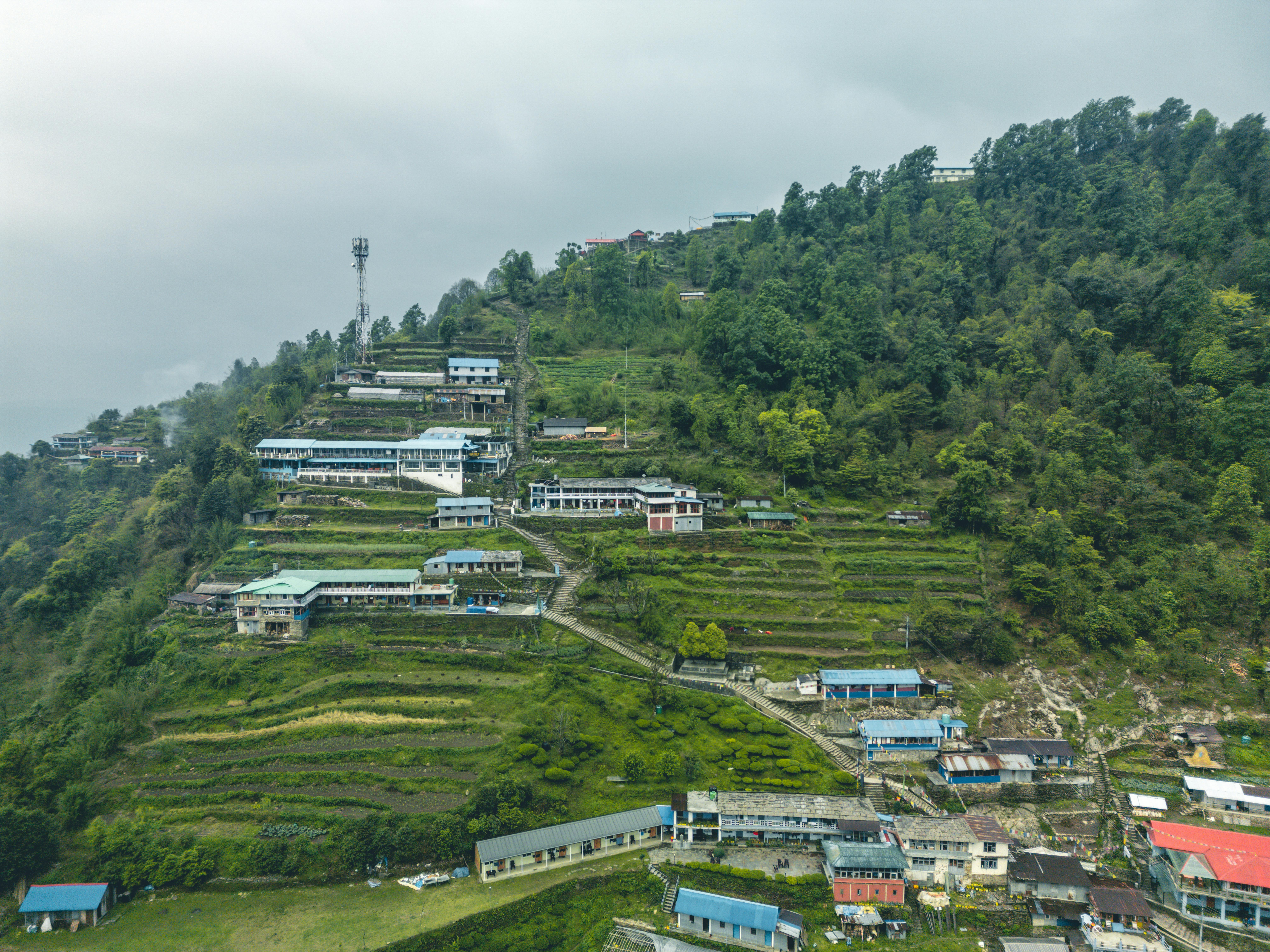 Ghodepani & Hot Spring Trek