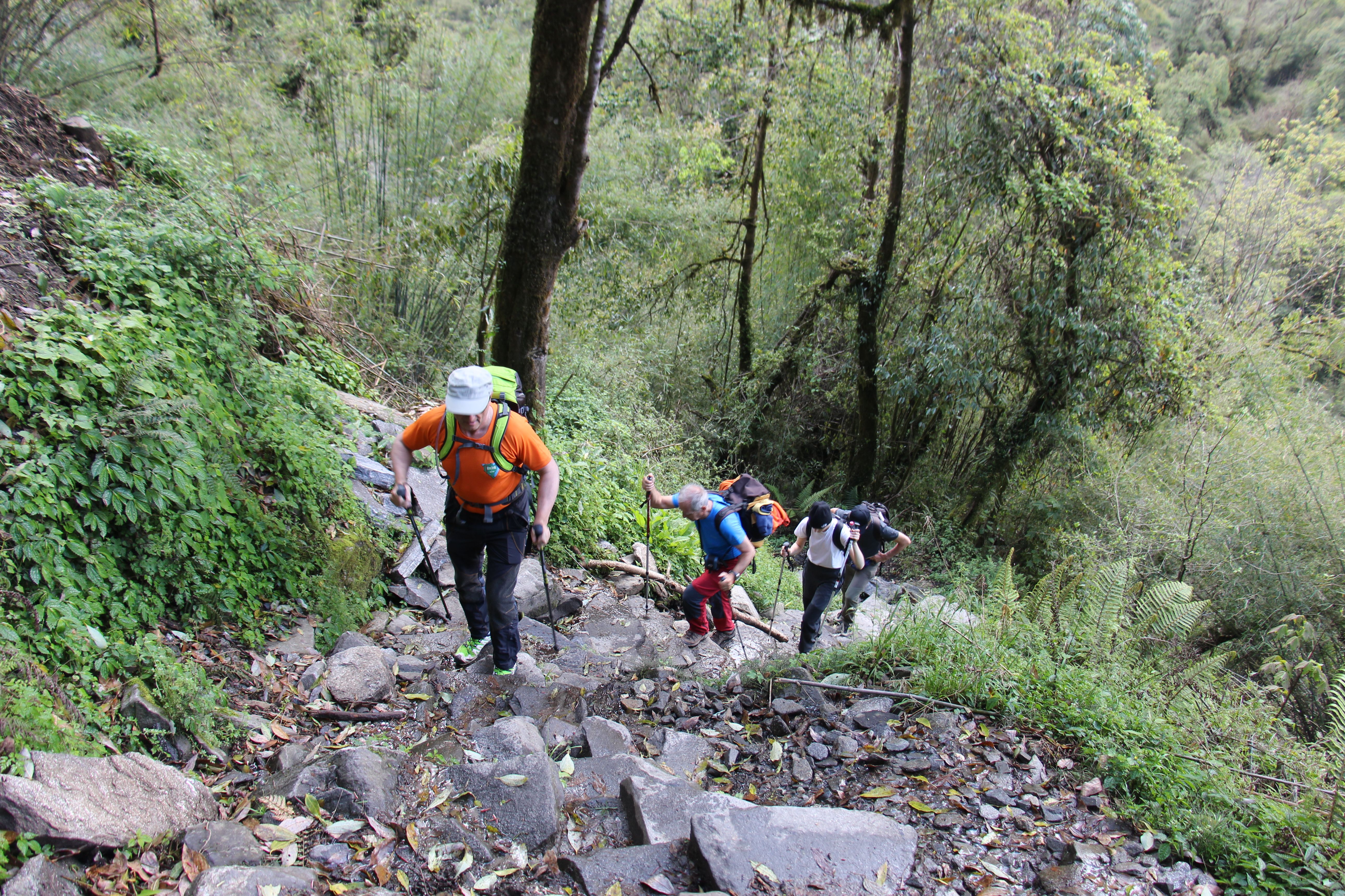 Ghodepani & Hot Spring Trek
