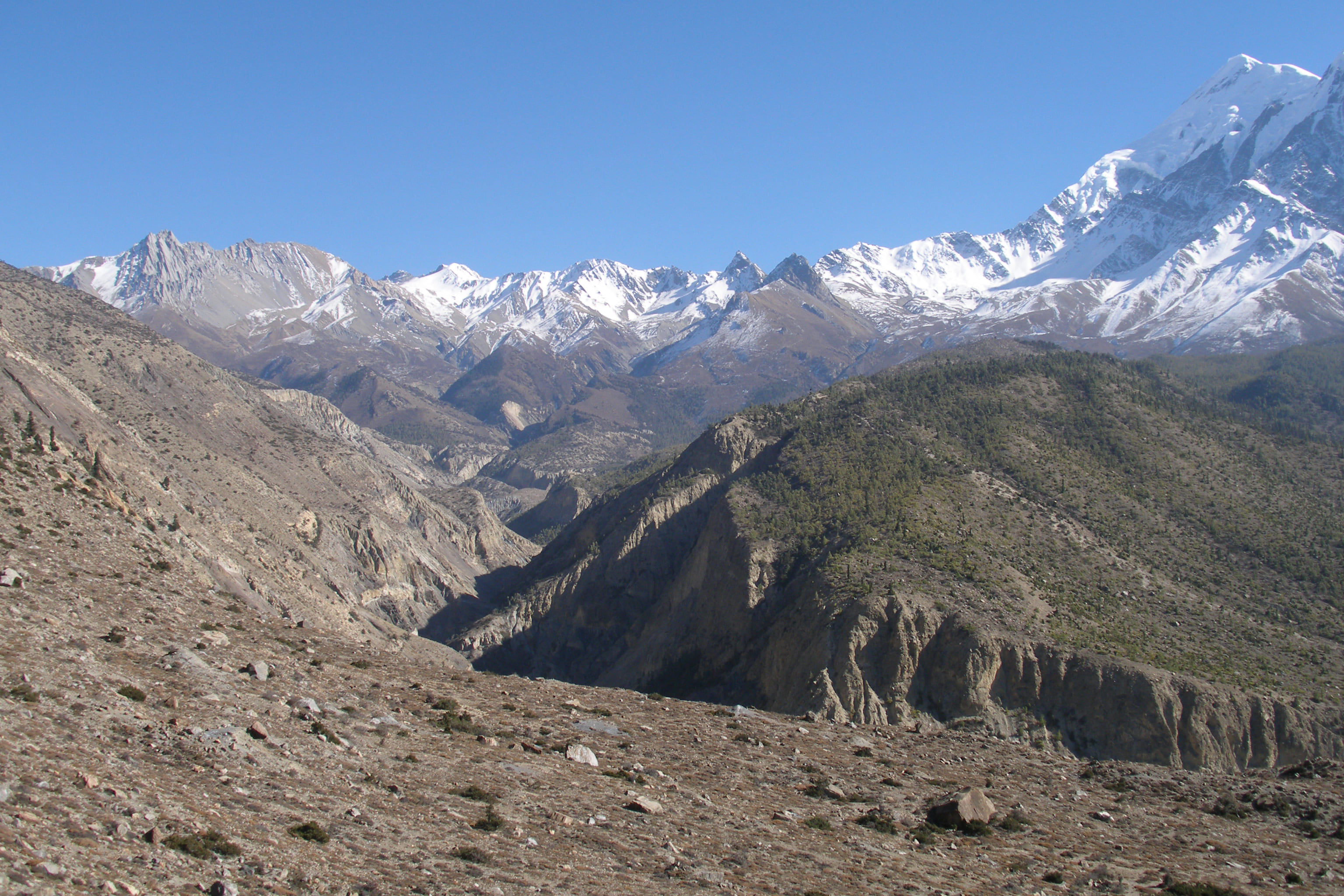Tilicho Peak Expedition (7,134m)