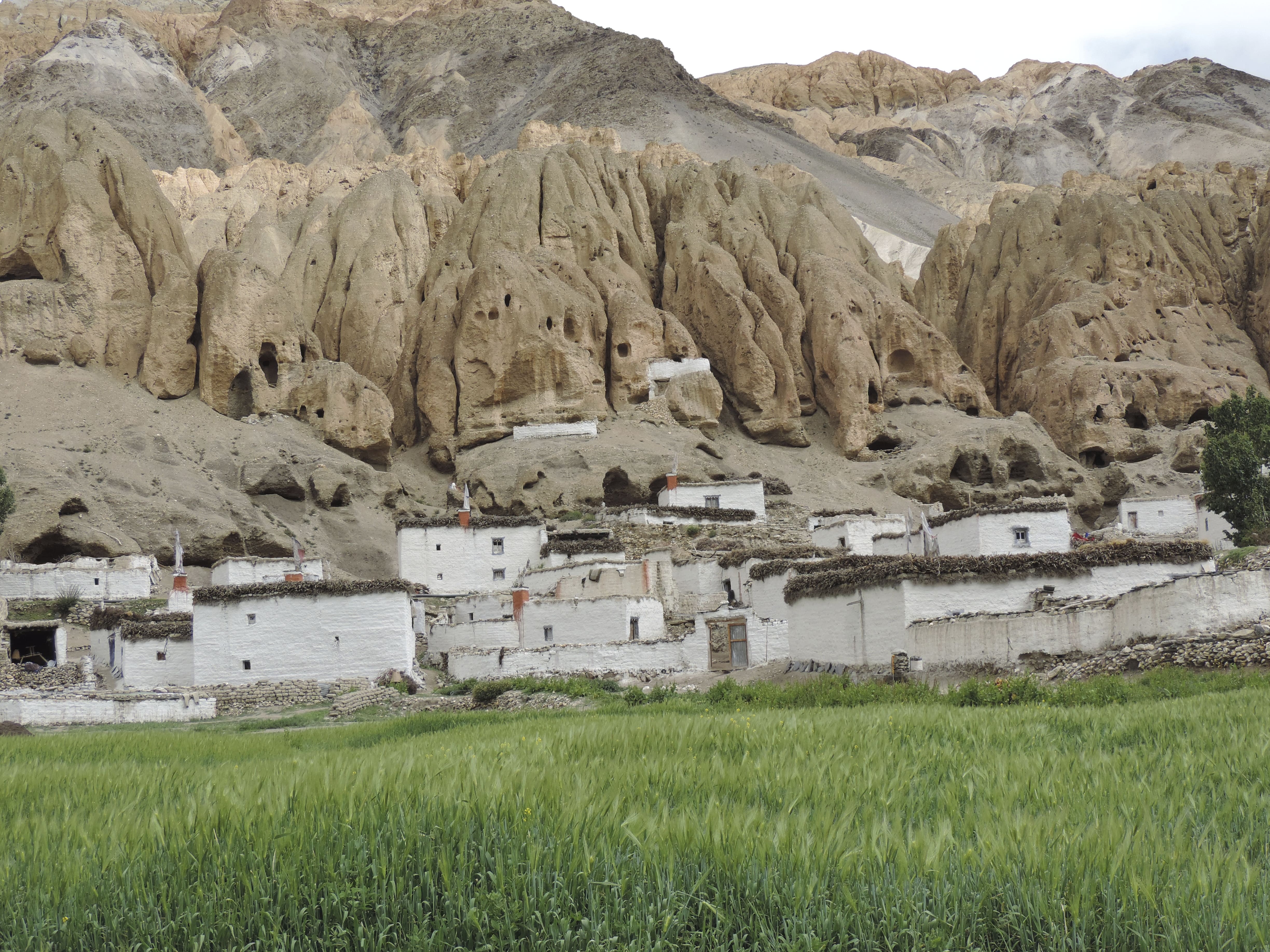 Mustang Region