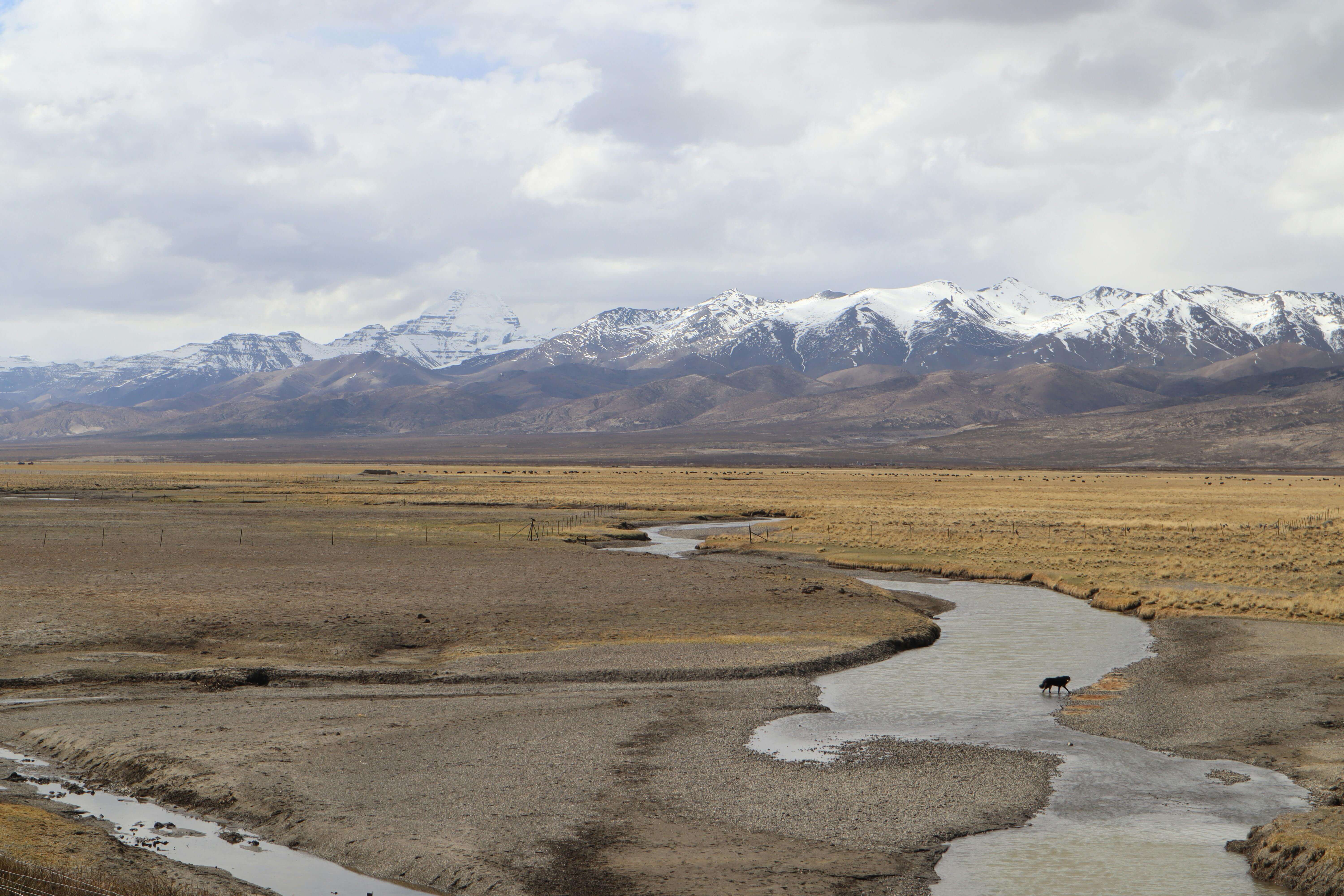 Tibet